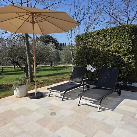 Apartman Monsena Olive